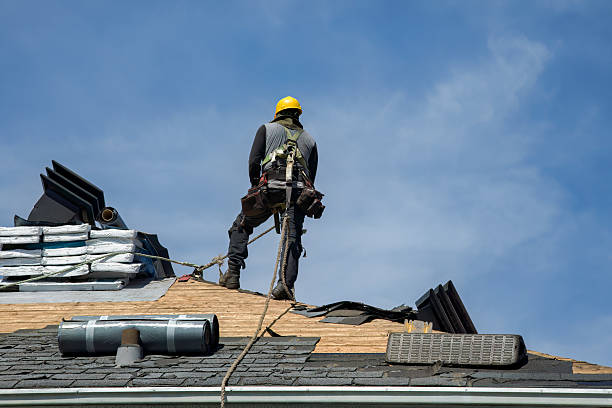 Professional Storm Damage Roof Repair technician working in New Albany, IN